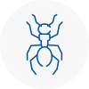 Ant Removals In Leominster