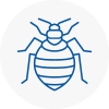Bed Bug Extermination In Leominster