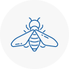 Bee Nest Removal Leominster