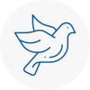 Bird Prevention Leominster