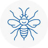 Leominster Hornet Nest Removals