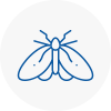 Moth Control Specialists In Leominster