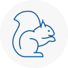 Leominster Rodent Removals